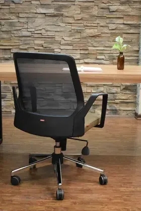 صندلی ارگونومیک- ماهانه